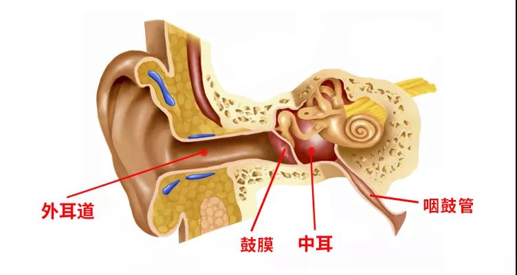 重庆耳鼻喉医院排名
