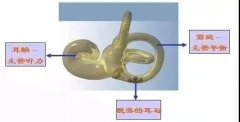 耳石症可能会有哪些症状呢？重庆哪个医院看耳鼻喉好