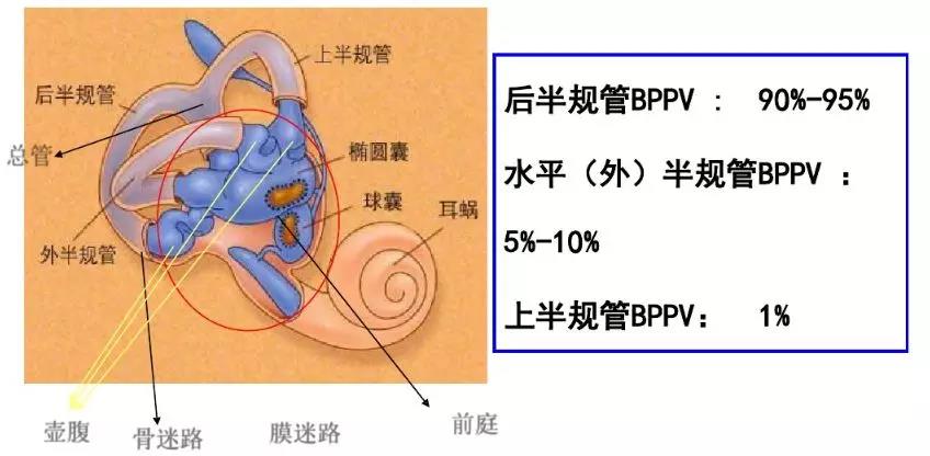 重庆耳鼻喉医院