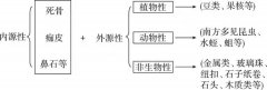 小孩鼻塞流涕按鼻炎治没治好，原来竟是鼻腔异物！